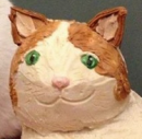 Идеальный кот